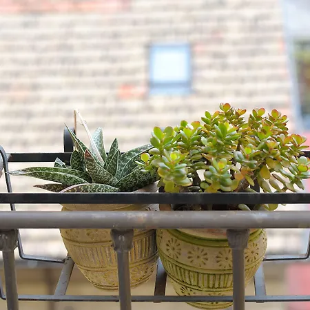 Bed and Breakfast Aquarius