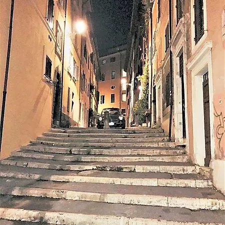 Aquarius Roma