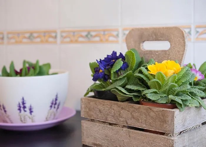 Aquarius Couette-café 4*